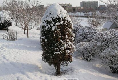 包頭化雪劑生產(chǎn)廠家搞好質(zhì)量和終端設施服務項目是品牌建設的關緊